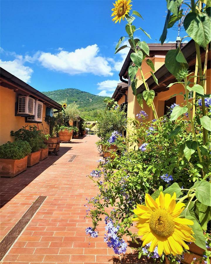 "La Terrazza Di Castiglione" Appartamenti Vacanza Кастільйоне-делла-Пеская Екстер'єр фото